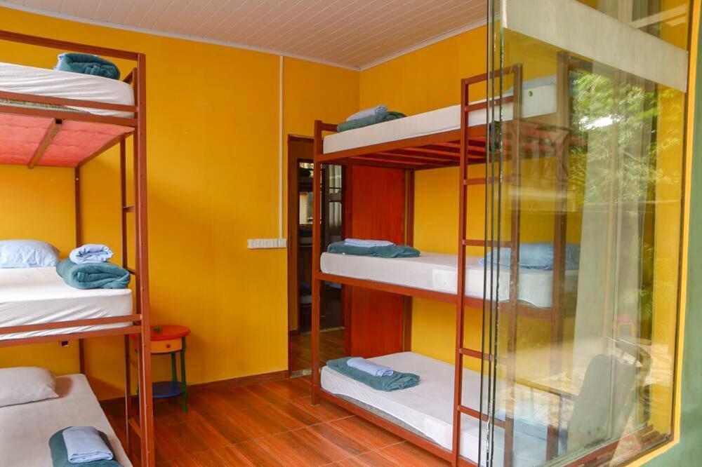 Hostel MPB Ilha Grande Esterno foto